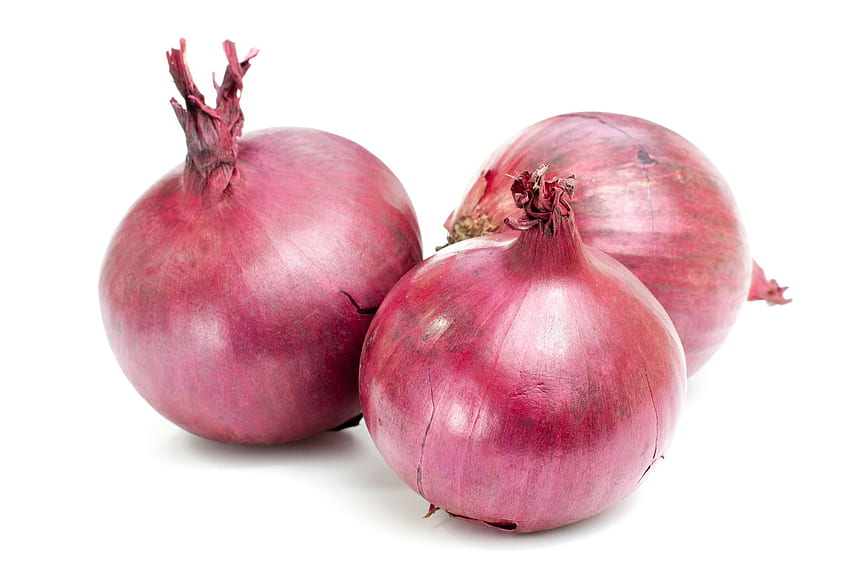 Red Onion , . All For HD wallpaper