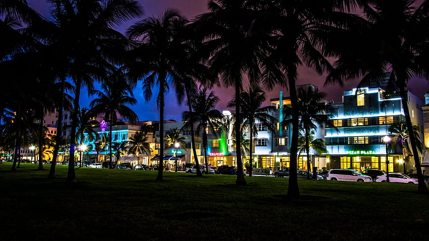 Miami, Geschäfte, Bäume, Vereinigte Staaten, Palme, Nacht, Wohnungen, Stadt, Strandpromenade, Nachtleben, Florida, Lichter, Nachtlandschaft HD-Hintergrundbild