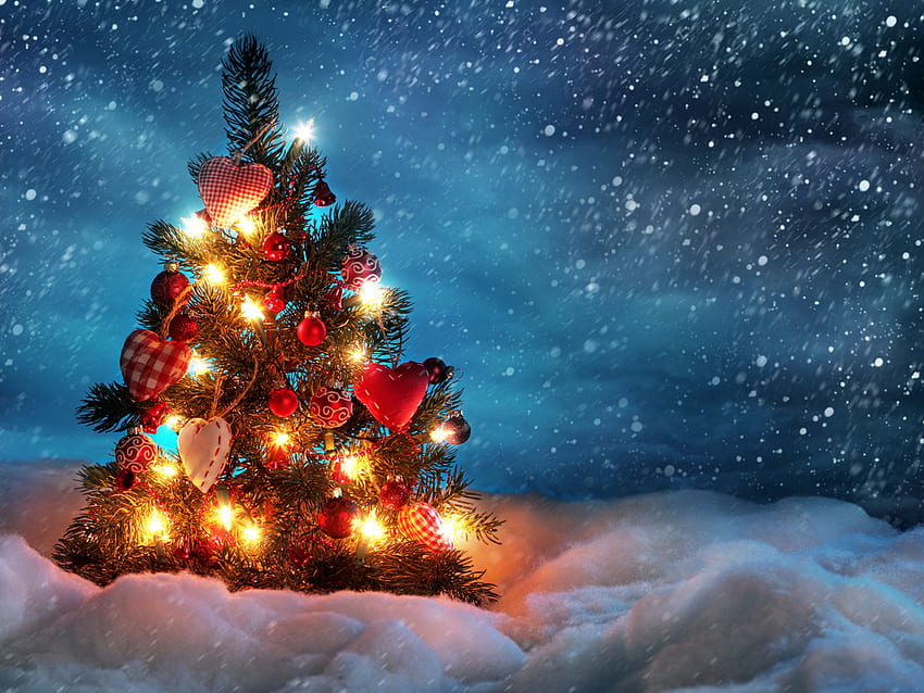 クリスマス ツリー、冬、休日、雪、クリスマス、12 月、新年、ツリー 高画質の壁紙