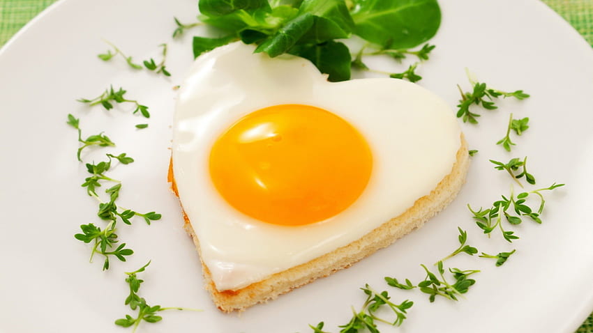 계란, 지방, 먹다, 음식 HD 월페이퍼