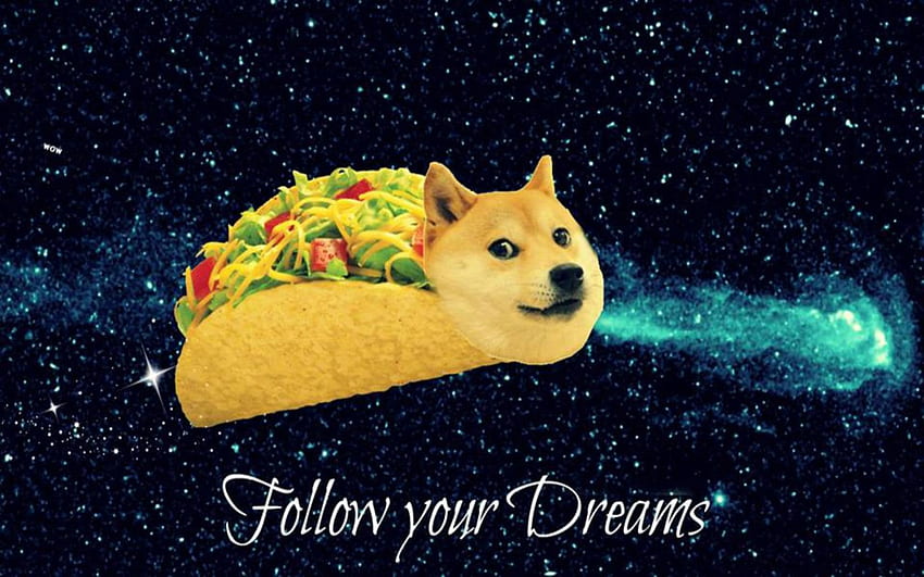 Doge - Doge Taco - & พื้นหลัง Doggo Meme วอลล์เปเปอร์ HD