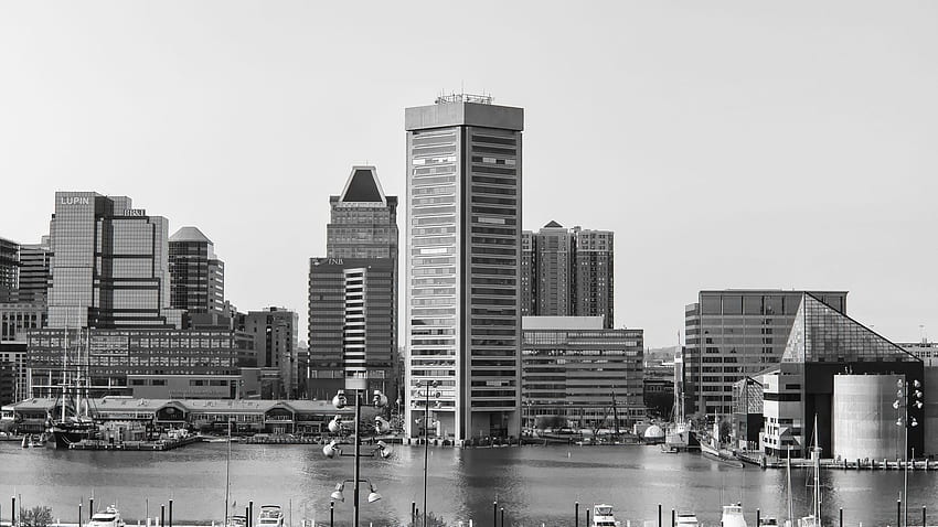 Baltimore City Architecture View Grayscale, Baltimore Skyline HD wallpaper
