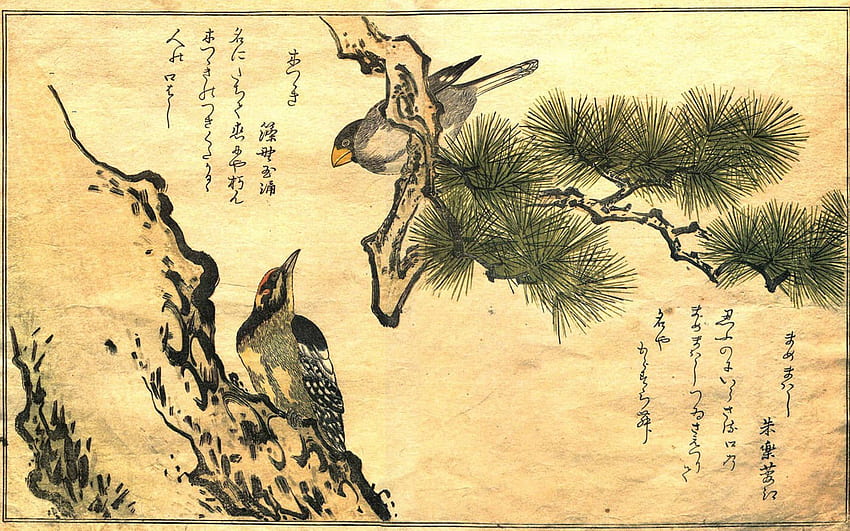 Traditional Japanese Art - , Traditional Japanese Art Background on Bat, Japanese Fine Art HD wallpaper