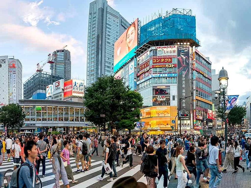 Shibuya Crossing - The Best Japan HD wallpaper | Pxfuel