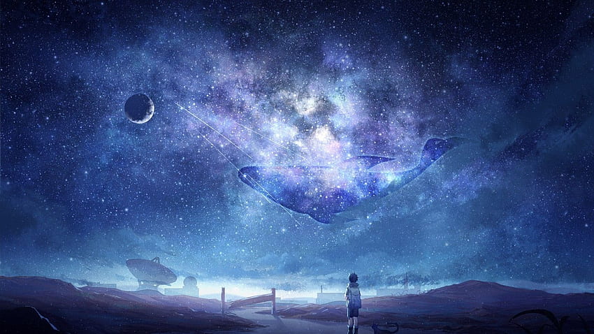 Anime Sky, Milky Way, Stars, Anime Boy, Dog, 1600x900 Sky HD wallpaper