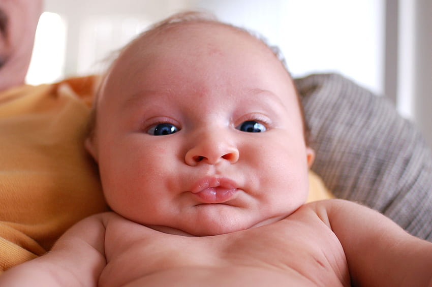 Funny Baby On - Bebés divertidos fondo de pantalla | Pxfuel