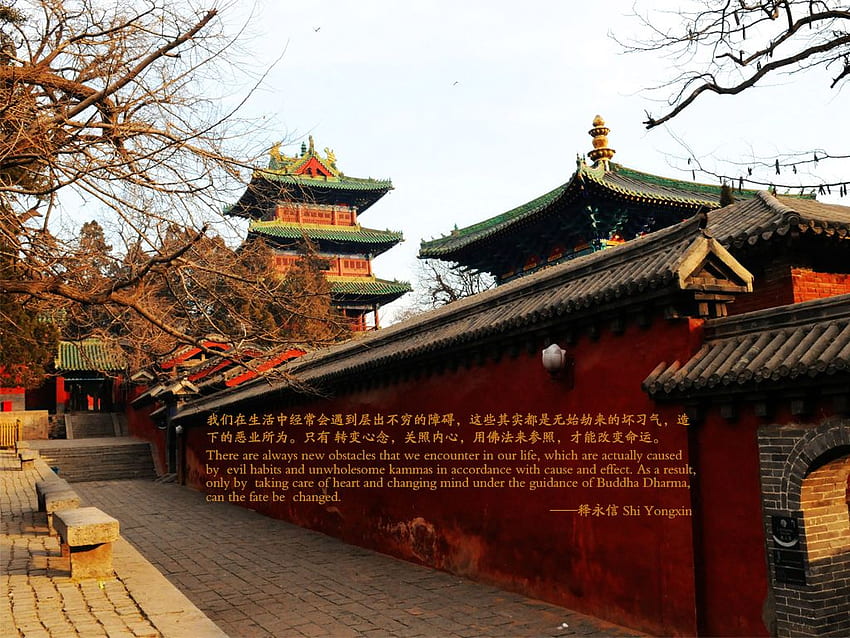 Shaolin Tapınağı HD duvar kağıdı