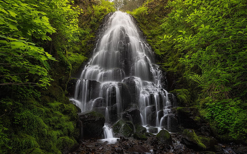 Fairy Falls, Wasserfälle, Felsen, Columbia River Gorge, schöner Wasserfall, Wasserkonzepte, Oregon, USA HD-Hintergrundbild