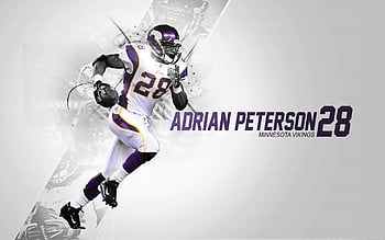 Adrian peterson minnesota vikings HD wallpapers