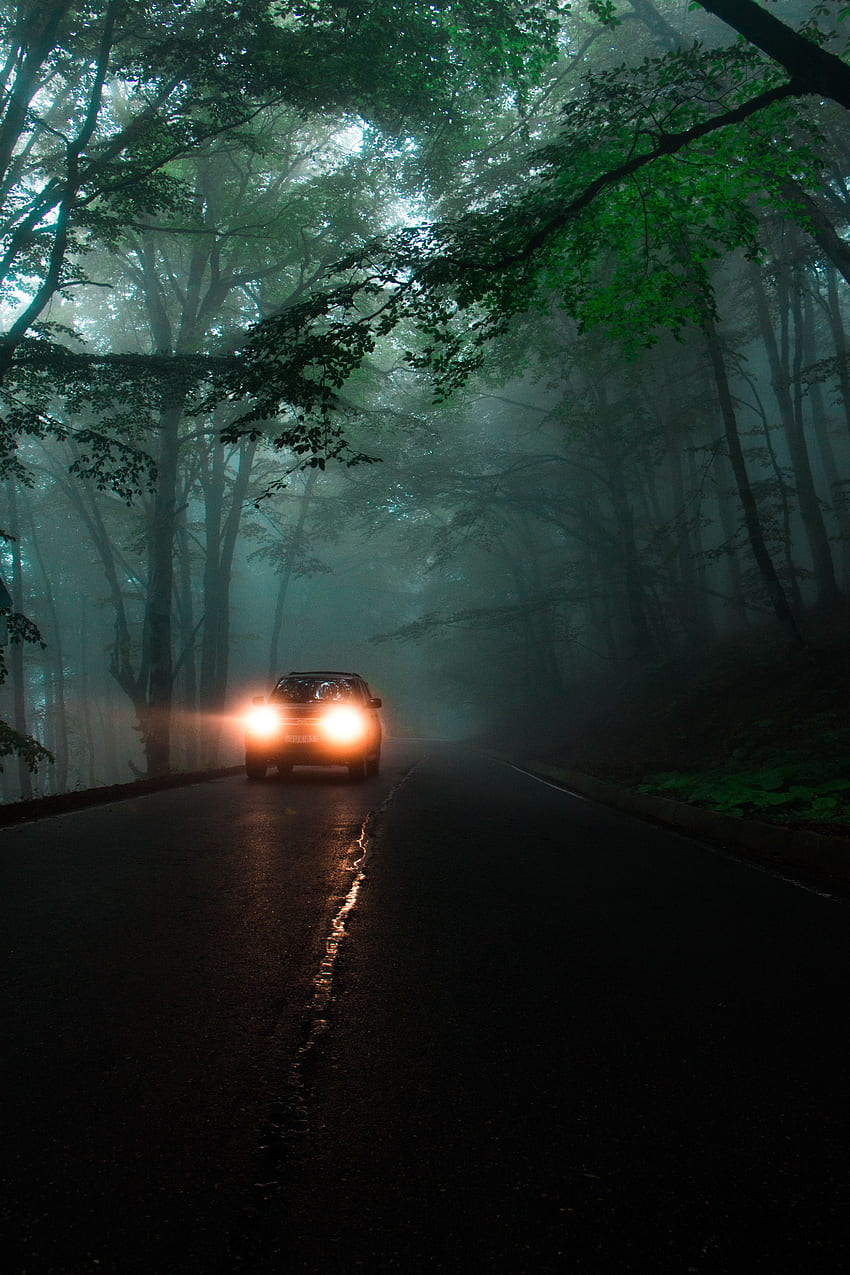 Дървета, светлини, тъмно, блясък, светлина, път, мъгла, кола, фарове HD тапет за телефон