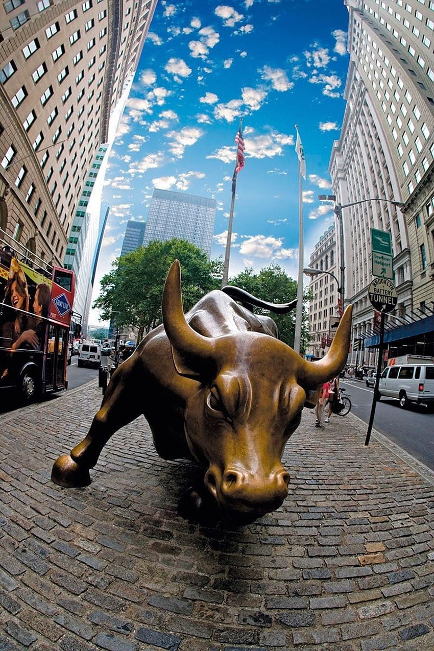 Wall Street Bull HD phone wallpaper