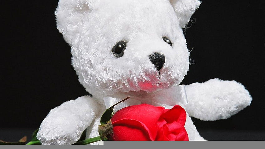 Start - Teddy Bears Flowers - HD wallpaper