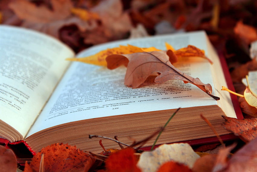 Herbst, Blätter, Verschiedenes, Verschiedenes, Text, Laub, Buch, Seiten, Seite HD-Hintergrundbild