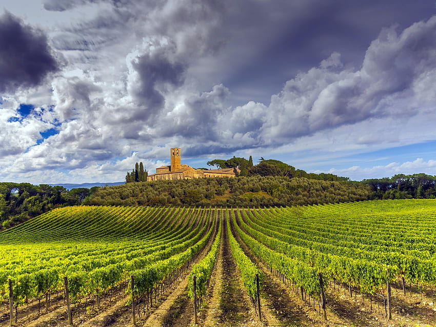 Tuscan Vineyard Village, Włochy Winnica Tapeta HD