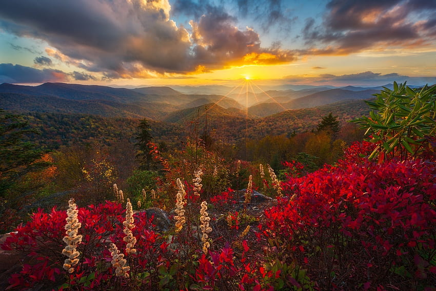 พระอาทิตย์ตกเหนือภูมิทัศน์ภูเขาดอกไม้, ดอกไม้, ธรรมชาติ, ทิวทัศน์, ภูเขา, พระอาทิตย์ตก, เมฆ วอลล์เปเปอร์ HD