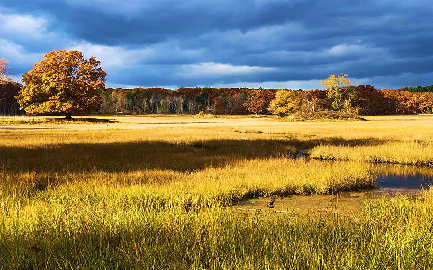El pantano salado, Rye, New Hampshire, otoño, nubes, otoño, árboles, colores, hojas, cielo fondo de pantalla
