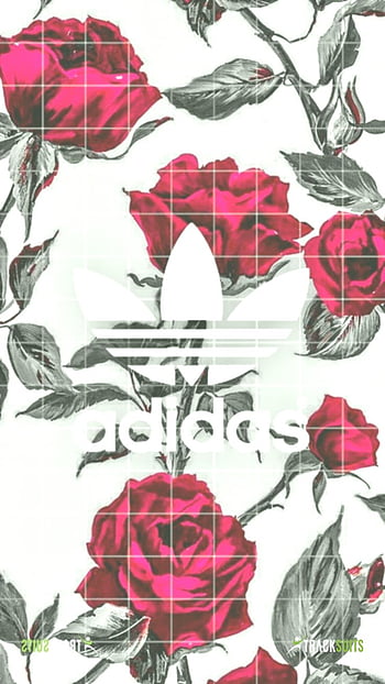 Adidas With Roses Hd Wallpapers Pxfuel