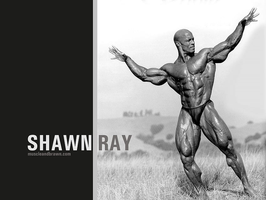 shawn ray, fisiculturista, rasgado, grande, campeão papel de parede HD