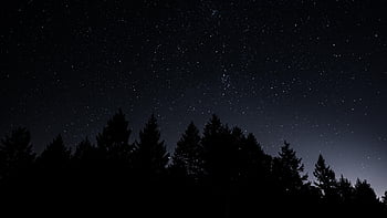 Black Sky - Windows 10 Night Sky,, Dark Night Sky HD wallpaper