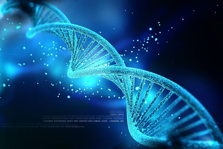 Title Artistic Dna Structure - Dna Helix - - HD wallpaper