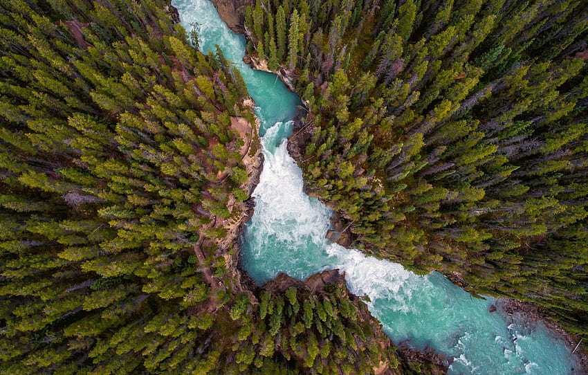 Wald, Natur, Fluss, die Aussicht von - Drone Forest HD-Hintergrundbild