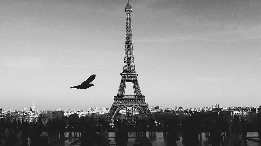 I Love Papers. paris eiffel tower tour dark bw bird france, Paris France Landscape HD wallpaper