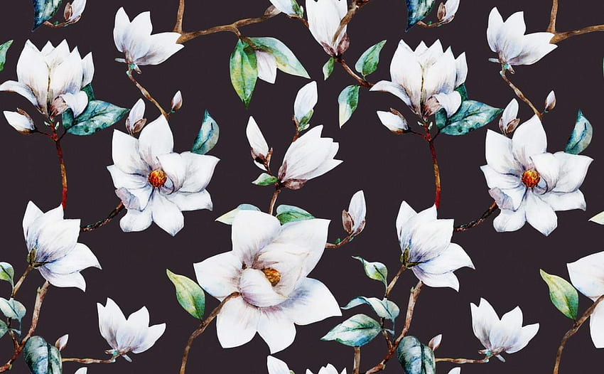 Magnolia Blossoms for Walls. · In stock HD wallpaper
