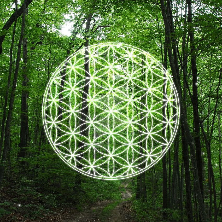 Flower of Life, Flower of Life iPhone HD phone wallpaper