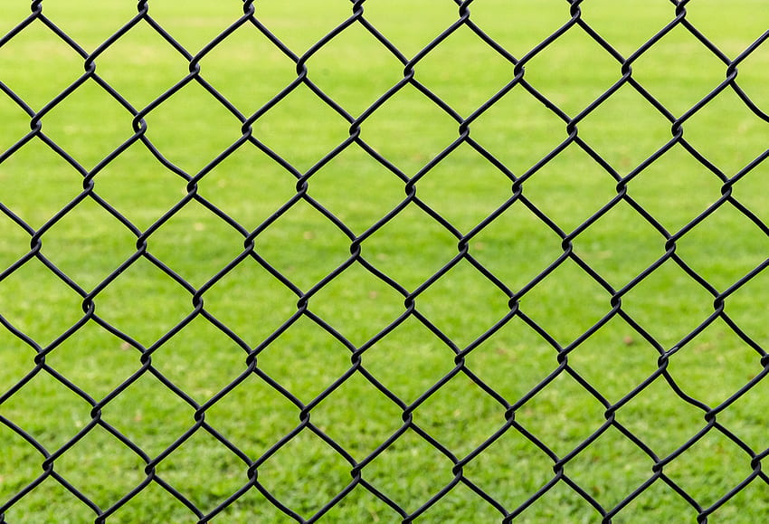 Grass, , , Grid, Fence, Iron HD wallpaper