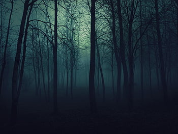 scary woods wallpaper