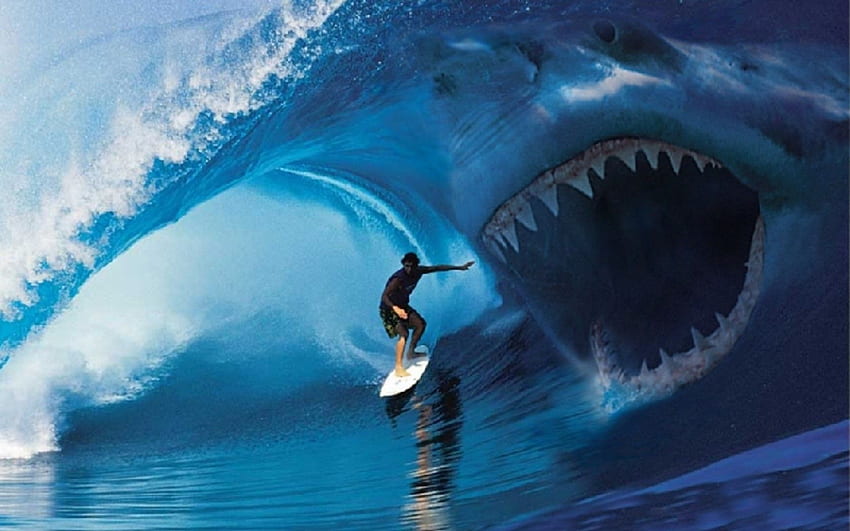 Shark Attack Background. Shark, Scary Shark HD wallpaper | Pxfuel
