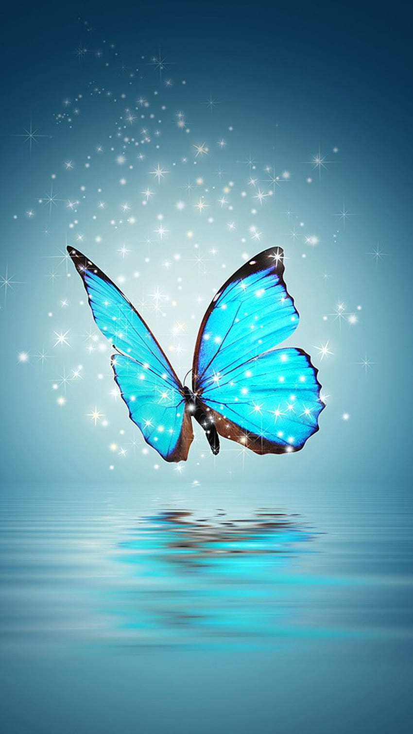 Blue butterfly HD phone wallpaper