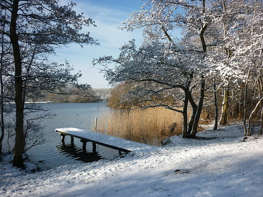 Winter am Fluss, Pier, Bäume, Flussufer, Schnee HD-Hintergrundbild