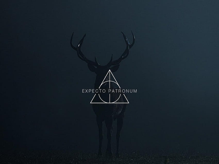 Expecto Patronum, Cool Patronus HD wallpaper | Pxfuel