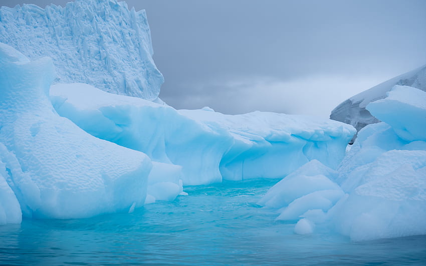 Glacier, ice, water, antarctic HD wallpaper | Pxfuel