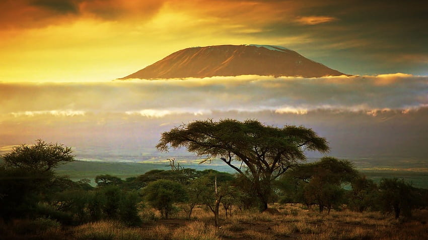 14 Mont Kilimandjaro [] Fond d'écran HD