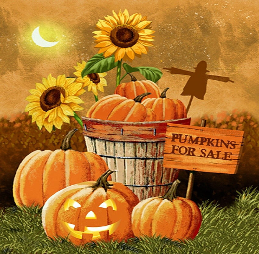 Fall Harvest Scarecrow with - at, Fall Harvest Pumpkin Sunflower HD wallpaper