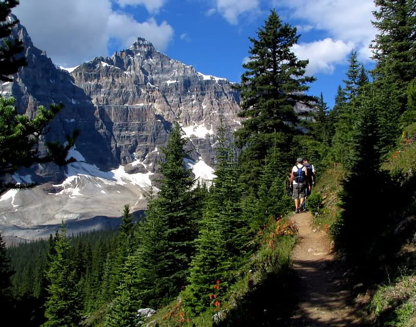 Caminhadas nas Montanhas Rochosas canadenses, árvores, caminhadas, céu, montanha papel de parede HD