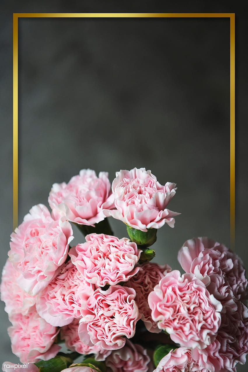 premium psd / di Cornice dorata con disegno di garofano rosa di Jira su garofano, cornice floreale, bouquet, cornice dorata e fiore fresco g. Garofani rosa, poster floreale, illustrazione di fiori Sfondo del telefono HD