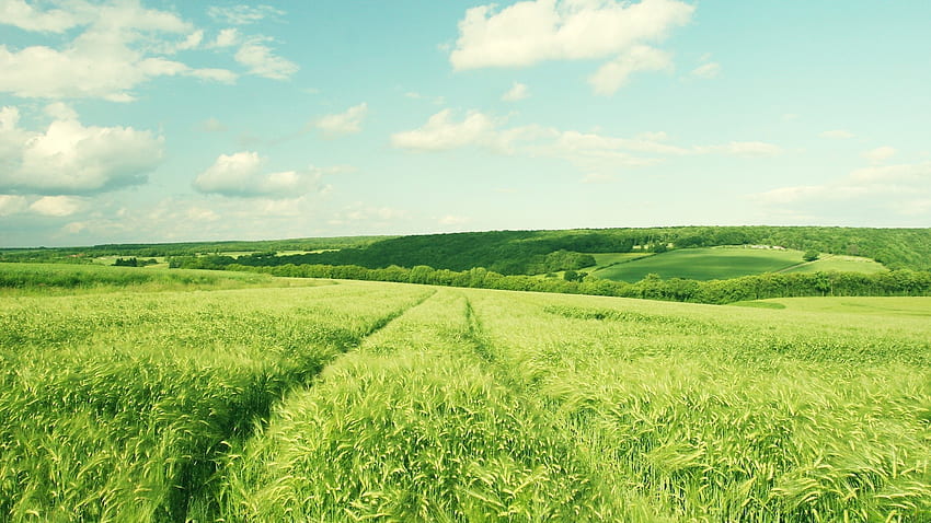 Bauernhof, Hintergrund HD-Hintergrundbild