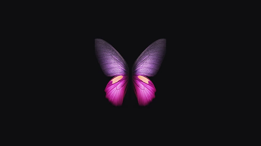 Samsung Galaxy Fold Butterfly、Artist、、、Background、および、Android Butterfly 高画質の壁紙