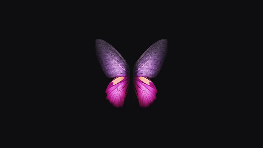 Pełny laptop Samsung Galaxy Fold Butterfly, motyle Tapeta HD