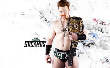 WrestleMania Wallpaper Wednesday: Sheamus, Randy Orton & The Big Show vs  The Shield | Hot Tag Wrestling