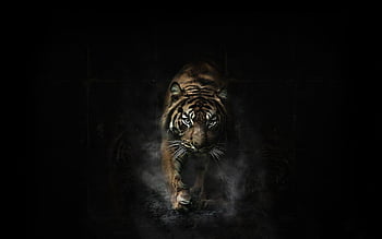 HD wallpaper: close-up photo of tigers eye painting, eyes, predator, tiles  | Wallpaper Flare