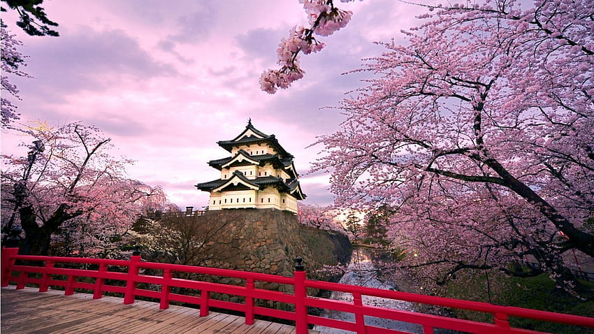 คำอธิบายของญี่ปุ่นปราสาทฮิโรซากิด้วย การจ่ายเงินของญี่ปุ่น, Château japonais, Fleur de cerisier, ภาษาญี่ปุ่น วอลล์เปเปอร์ HD