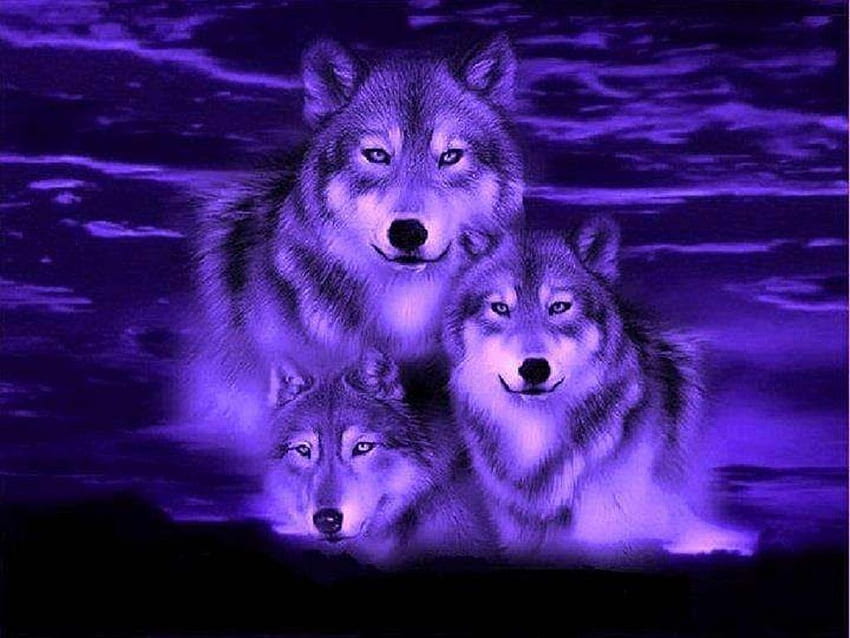 블루 울프 판타지 - 베스트 . 늑대 정령 동물, 늑대, 아름다운 늑대, 보라색 늑대 HD 월페이퍼