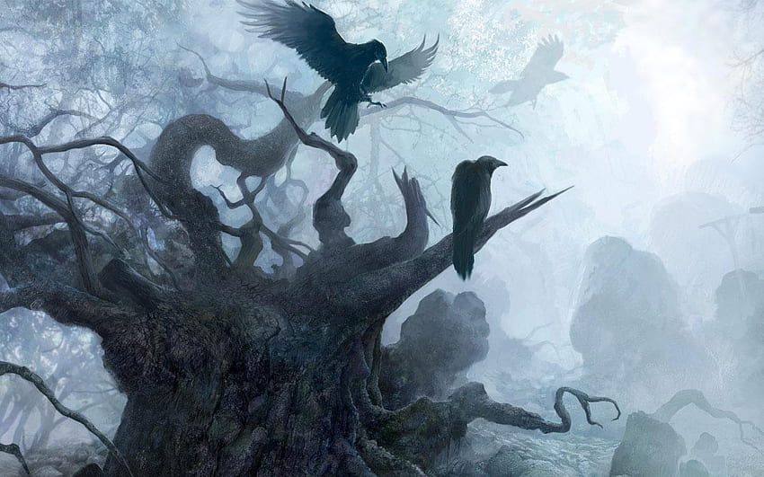 mgła, czarny, ptaki, kochanie, drzewo Tapeta HD
