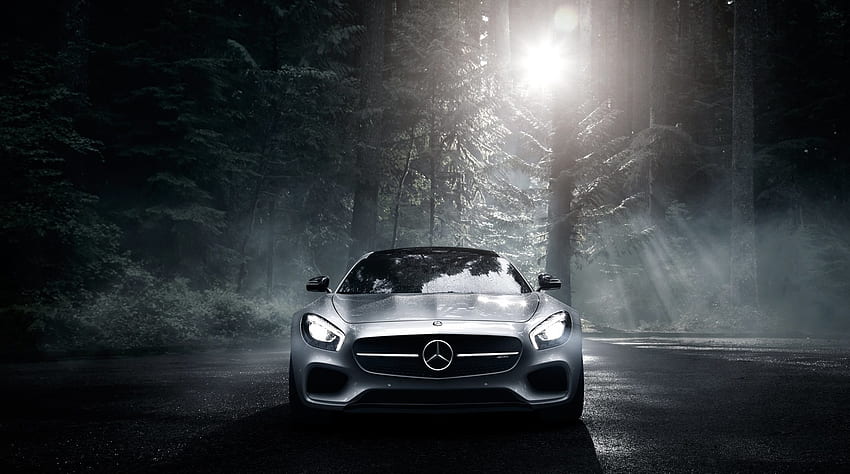 車, 森林, 正面図, メルセデス・ベンツ, 銀, 銀色の、Mercedes-Amg 高画質の壁紙