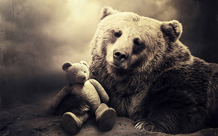 Bear . Bear and its teddy bear Beautiful HD wallpaper