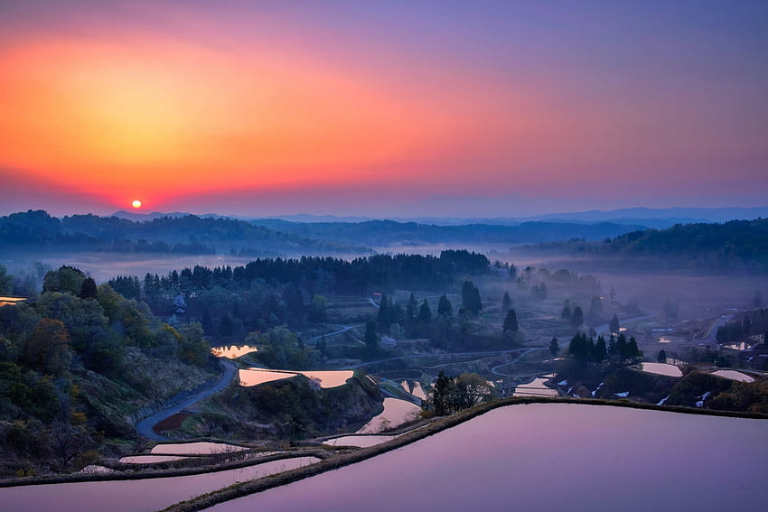 Оризови полета при изгрев, тераси, красиво, изгрев, селско стопанство, зазоряване, Япония, басейни, път, небе, планини, гора, мъглива сутрин HD тапет